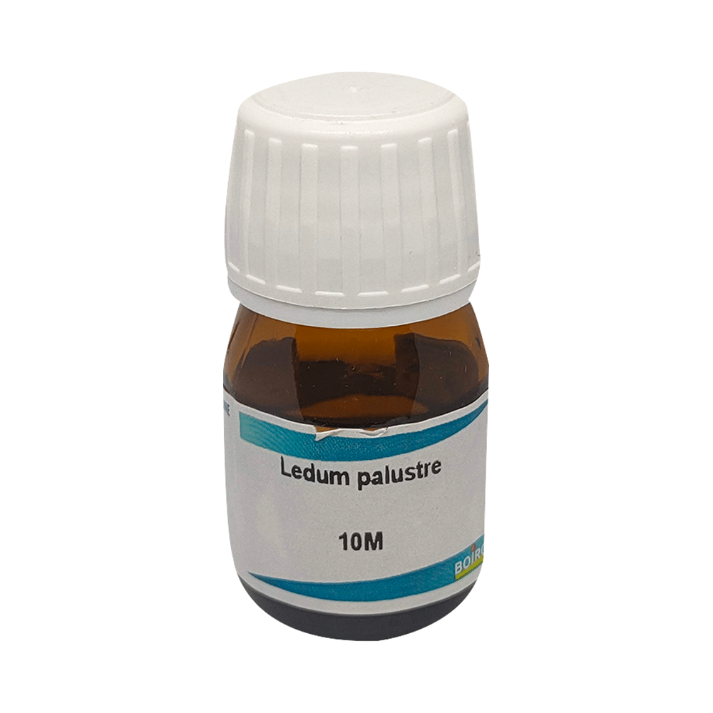 Boiron Ledum Palustre Dilution 10M - Image 1
