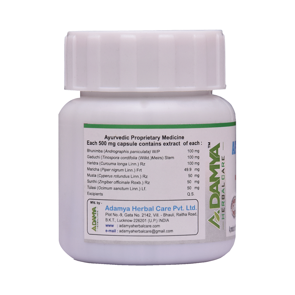 AFH -V31 Capsule - Image 2