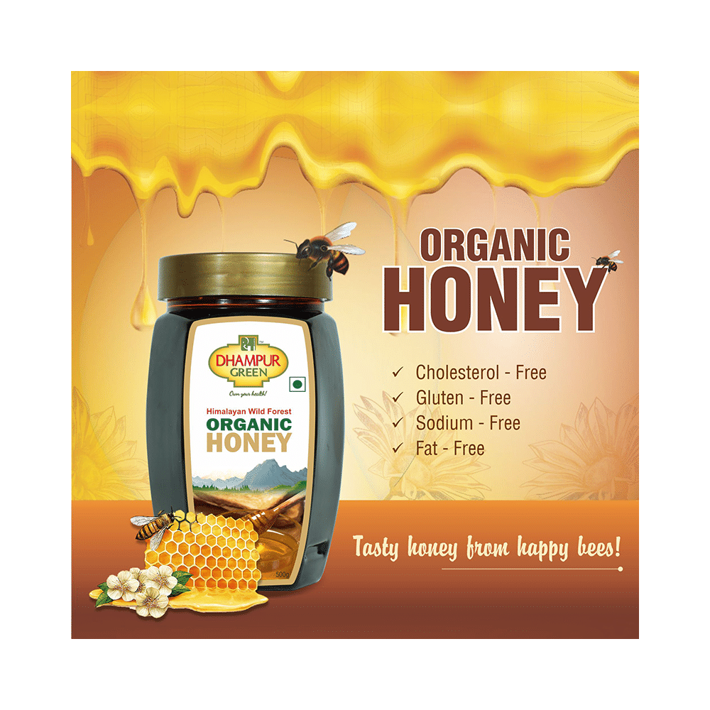Dhampur Green Himalayan Wild Forest Organic Honey - Image 4