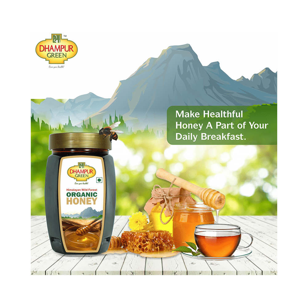 Dhampur Green Himalayan Wild Forest Organic Honey - Image 5
