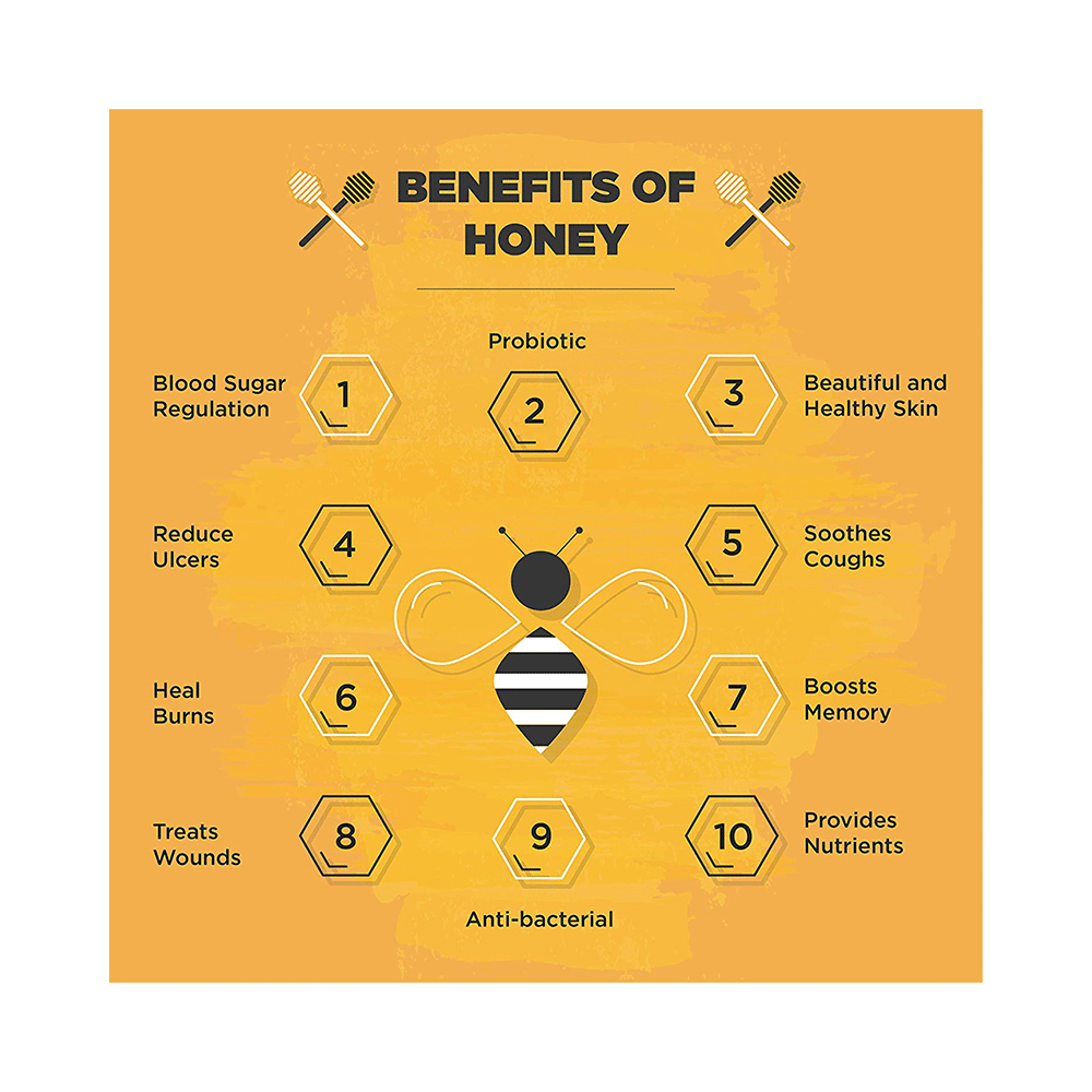 Dhampur Green Himalayan Wild Forest Organic Honey - Image 3