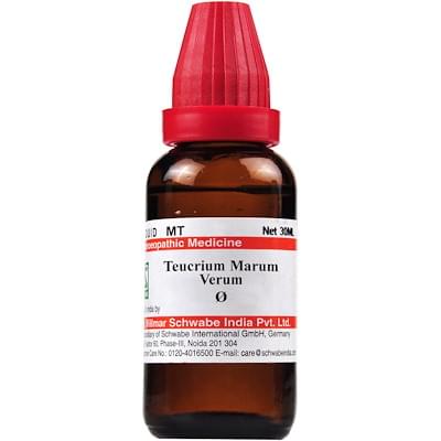 Dr Willmar Schwabe India Teucrium Marum Verum Mother Tincture Q - Image 1