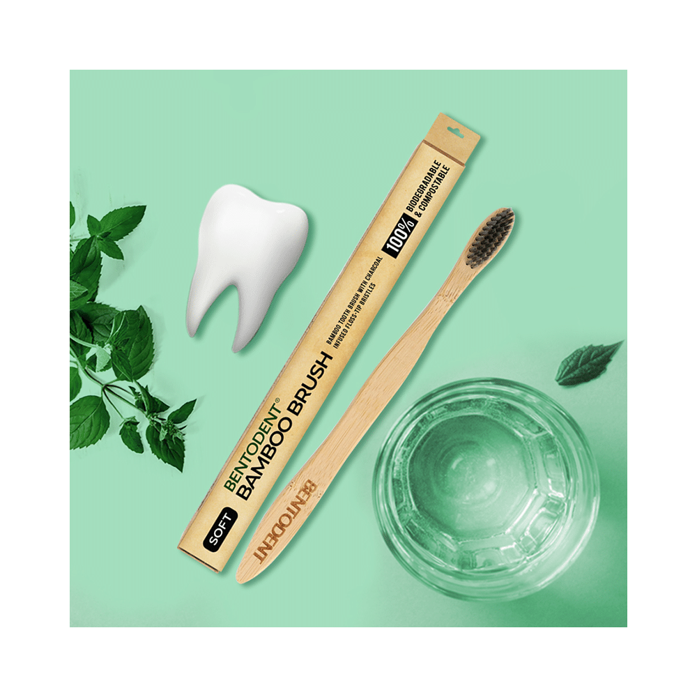 Bentodent Bamboo Charcoal Toothbrush Soft - Image 2