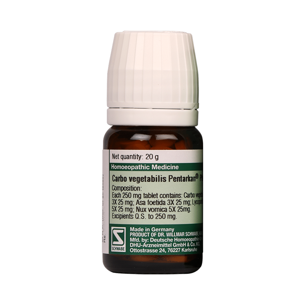 Dr Willmar Schwabe Germany Carbo Vegetabilis Pentarkan Ptk. 22 Tablet - Image 2