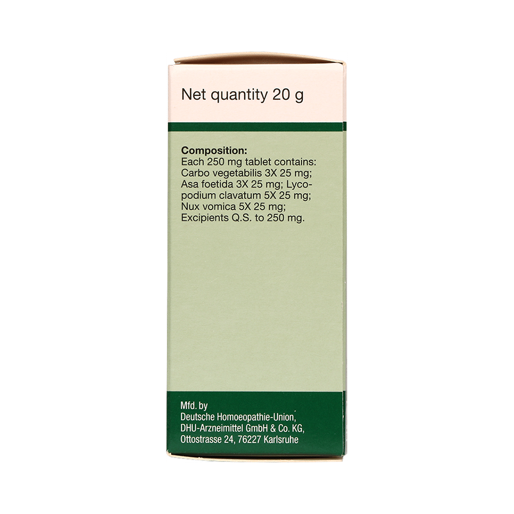 Dr Willmar Schwabe Germany Carbo Vegetabilis Pentarkan Ptk. 22 Tablet - Image 3