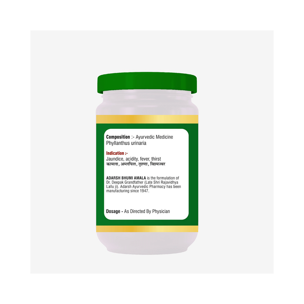 Adarsh Ayurvedic Pharmacy Bhumi Amala Churan - Image 2