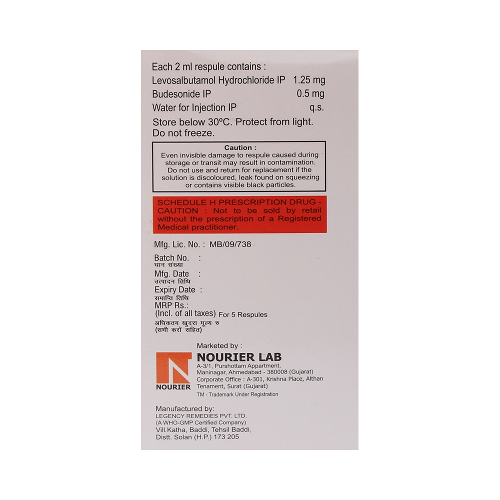 Budanour-L Respules - Image 2