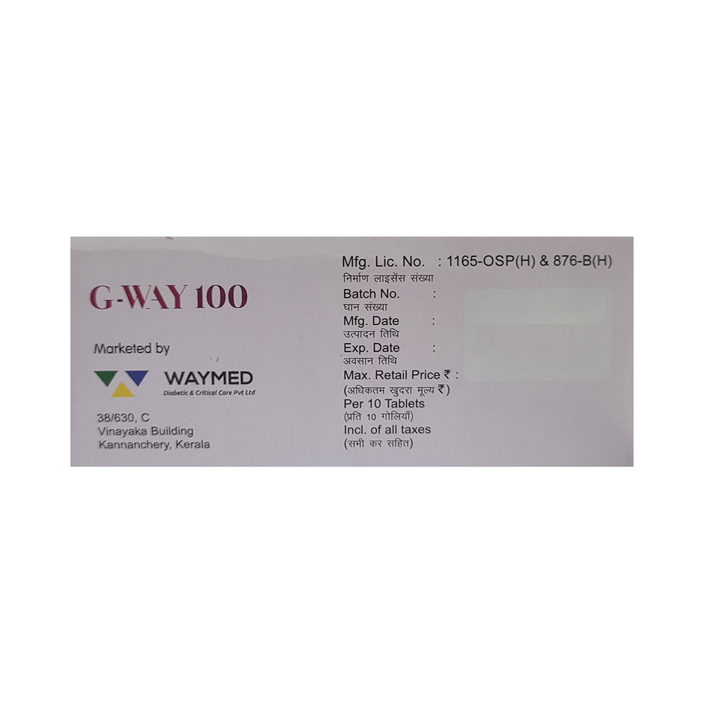 G-Way 100 Tablet - Image 3