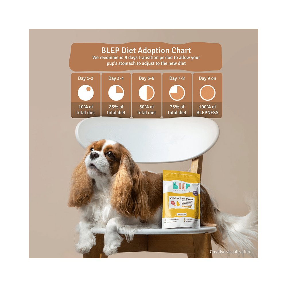 Blep World Chicken Zuke Pawer Wet Dog Food (300gm Each) - Image 6