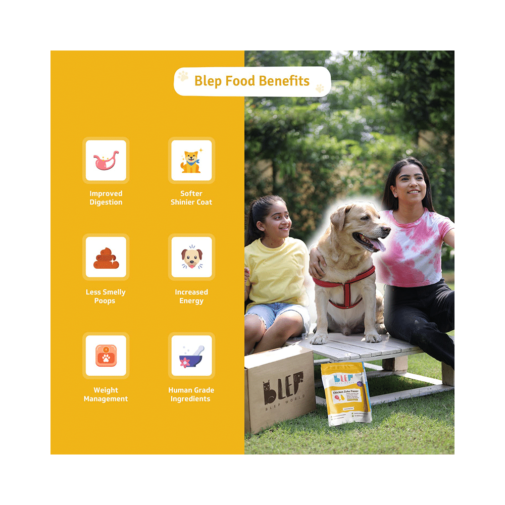 Blep World Chicken Zuke Pawer Wet Dog Food (300gm Each) - Image 7