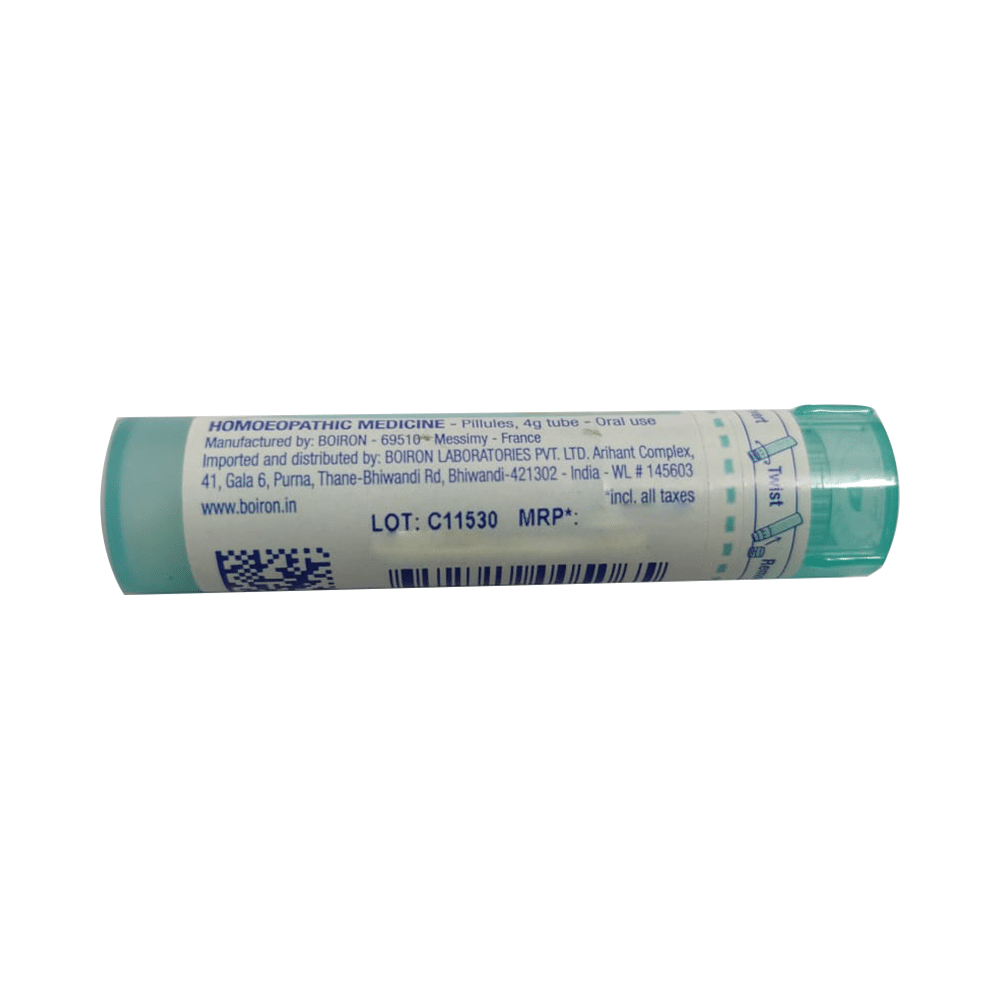 Boiron Histaminum Hydrochloricum (Histaminum Muriaticum) Pellets 200C - Image 2