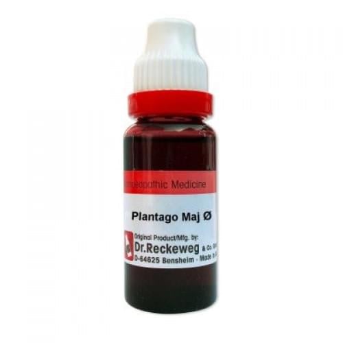 Dr. Reckeweg Plantago Maj Mother Tincture Q - Image 1