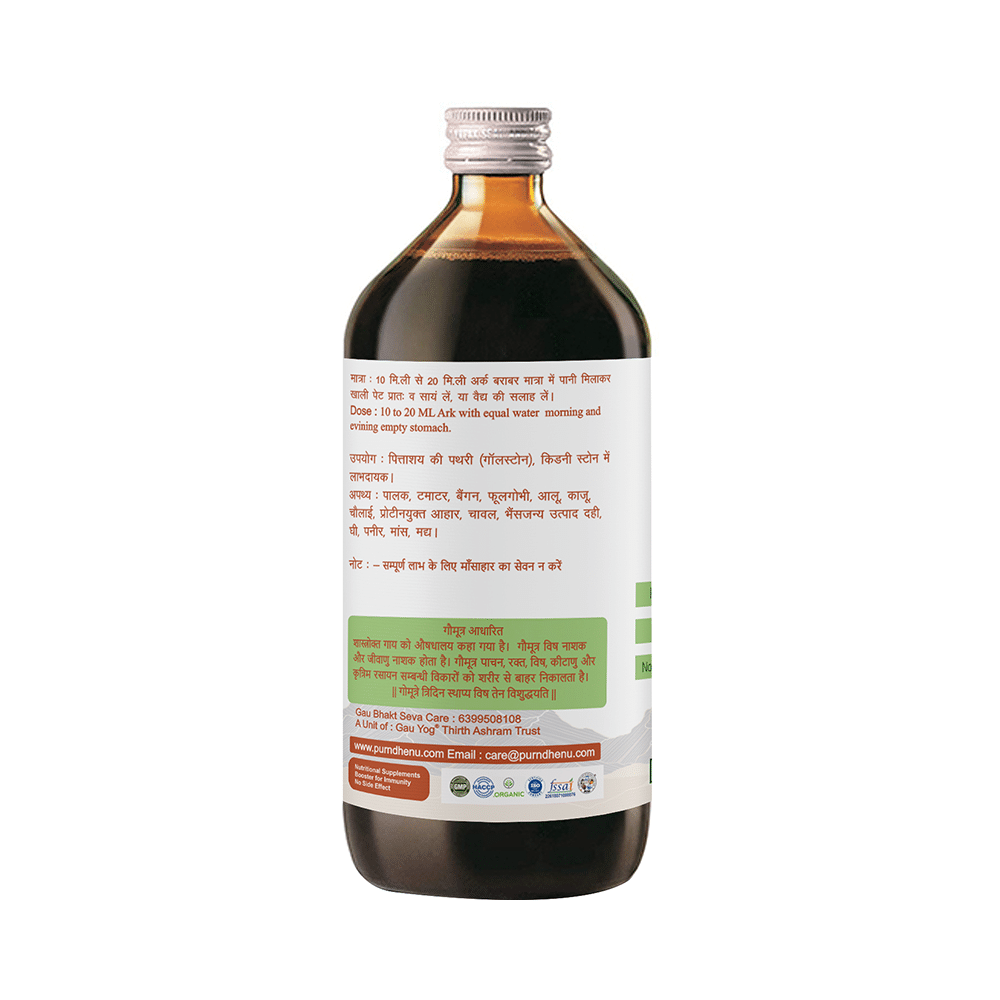 Purndhenu Pashanbhed Ark - Image 3