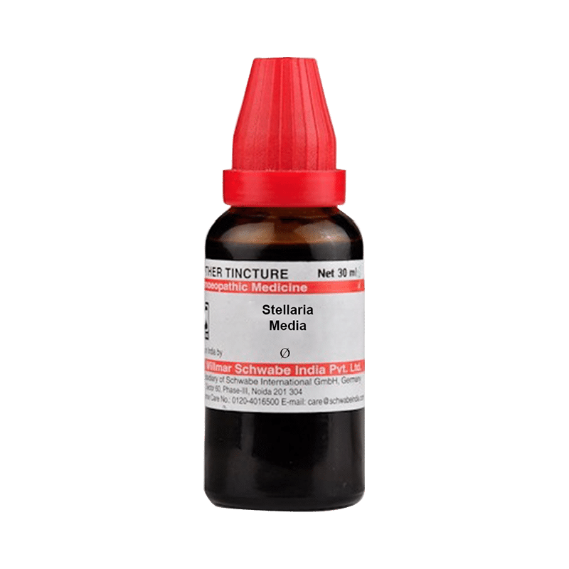 Dr Willmar Schwabe India Stellaria Media Mother Tincture Q - Image 1