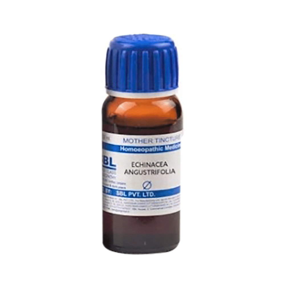 SBL Echinacea Angustifolia Mother Tincture Q - Image 2