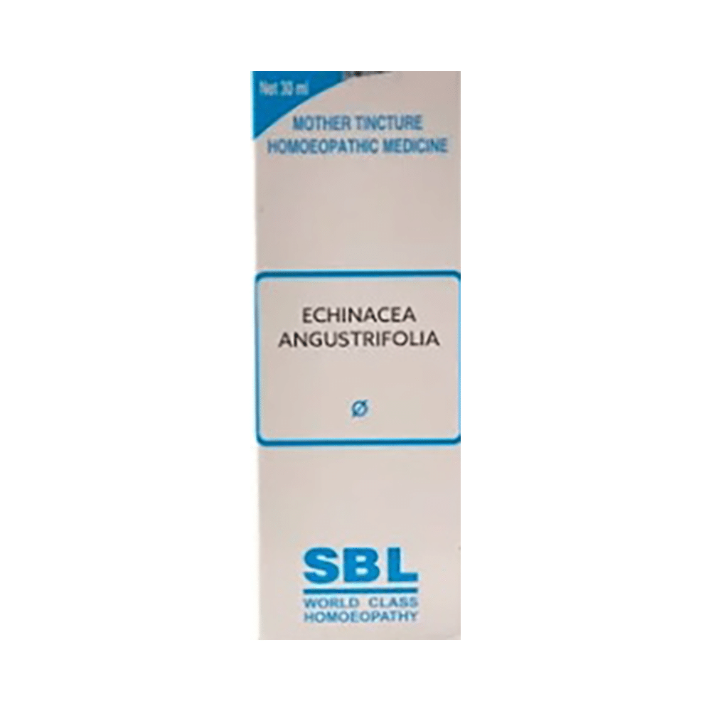 SBL Echinacea Angustifolia Mother Tincture Q - Image 1
