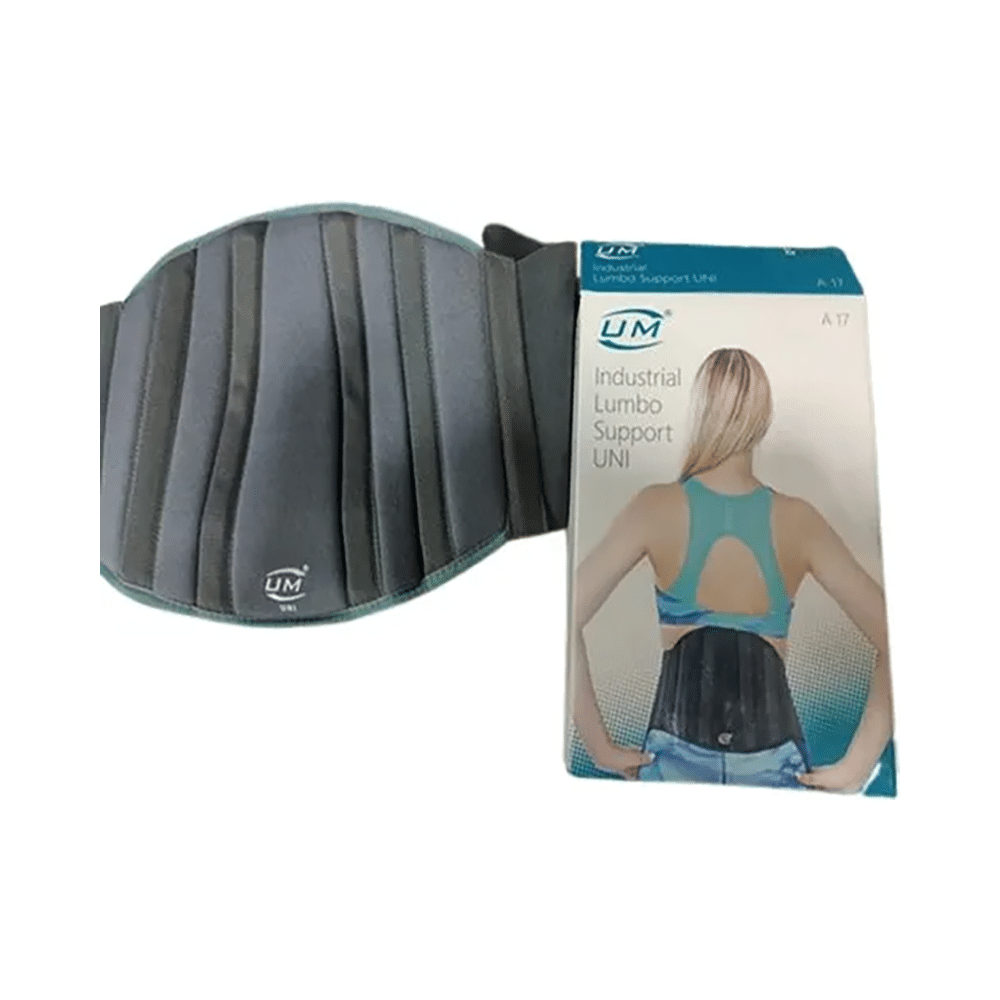 UM Universal Lumbar Support XXL - Image 2