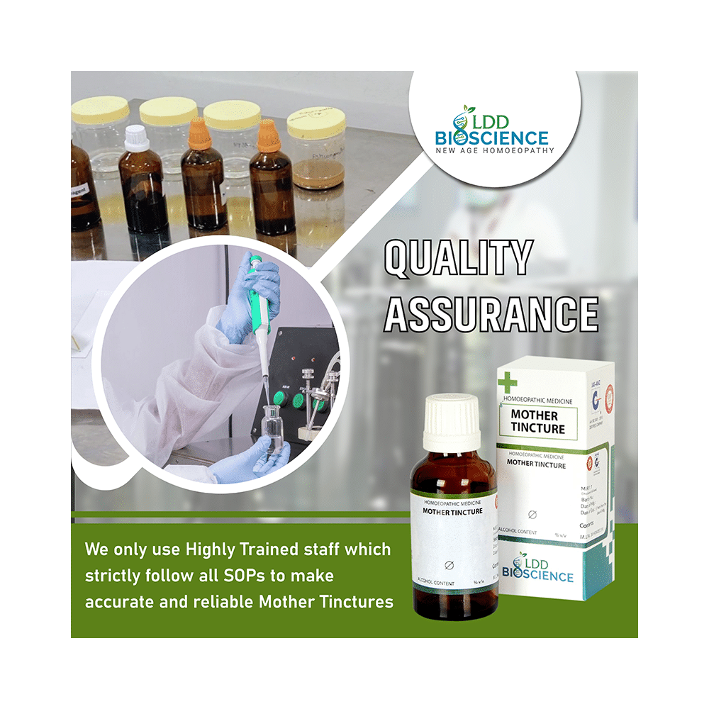 LDD Bioscience Alfalfa Mother Tincture Q - Image 6