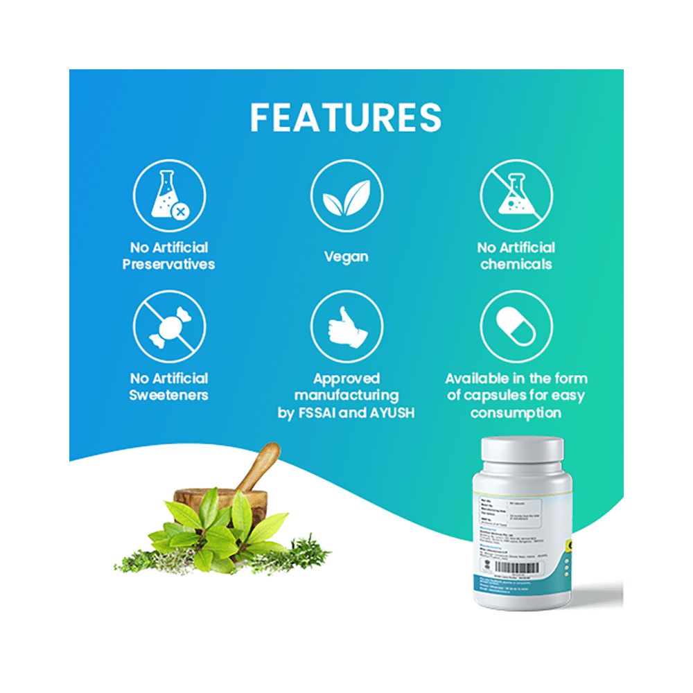 MediZen Grape Seed Extract Capsule - Image 3