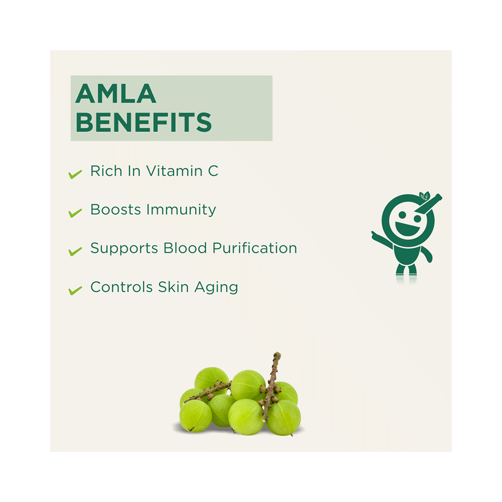 Vitro Naturals I Am Tasty Amla Candy | Rich in Vitamin C for Immunity & Blood Purification - Image 4