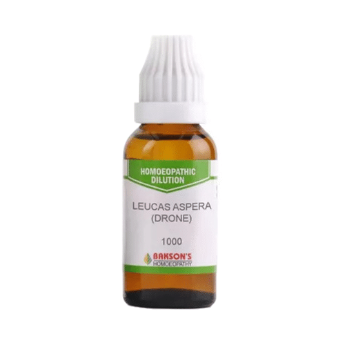 Bakson's Homeopathy Leucas Aspera (Drone) Dilution 1000 CH - Image 2