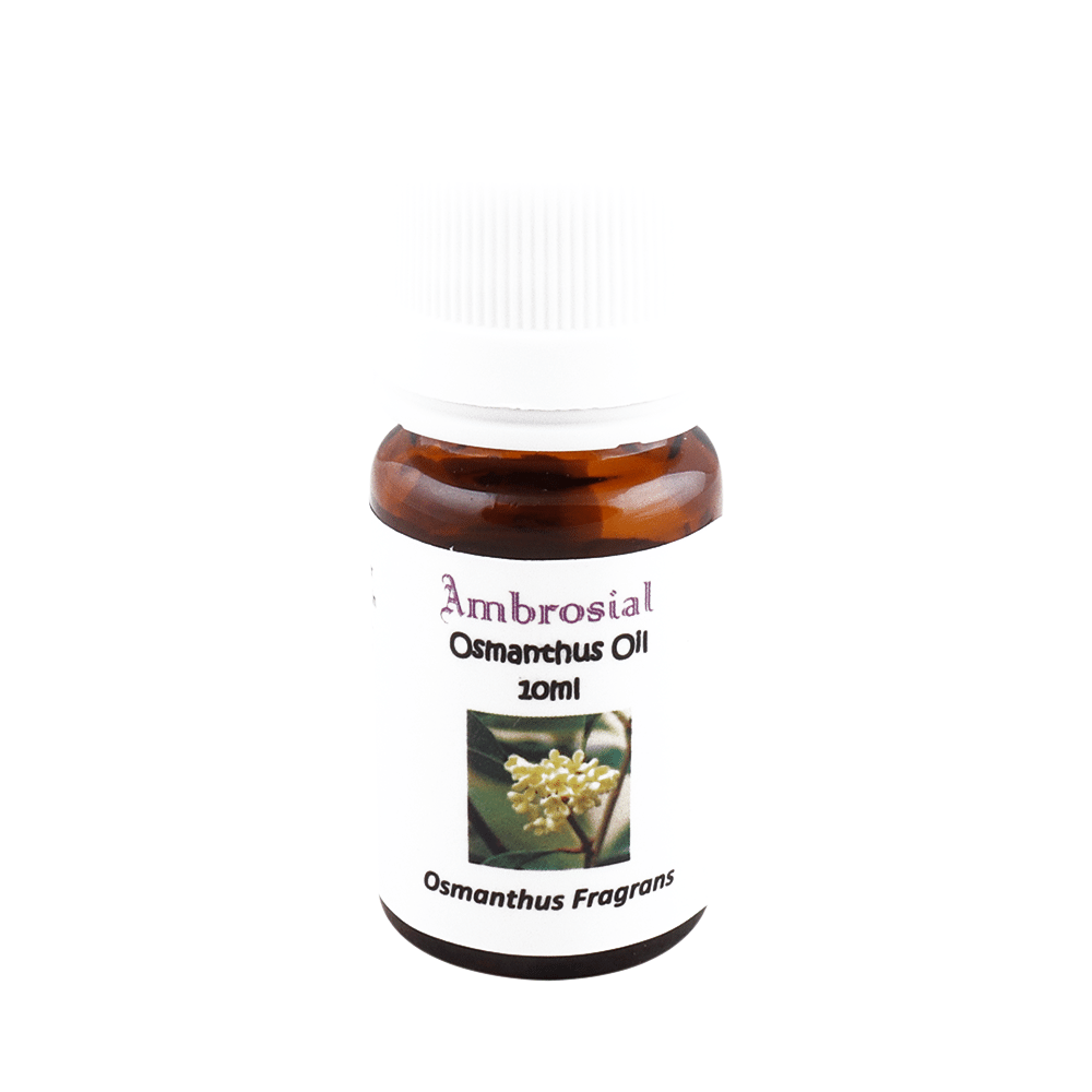 Ambrosial Osmanthus Essential Oil - Image 1