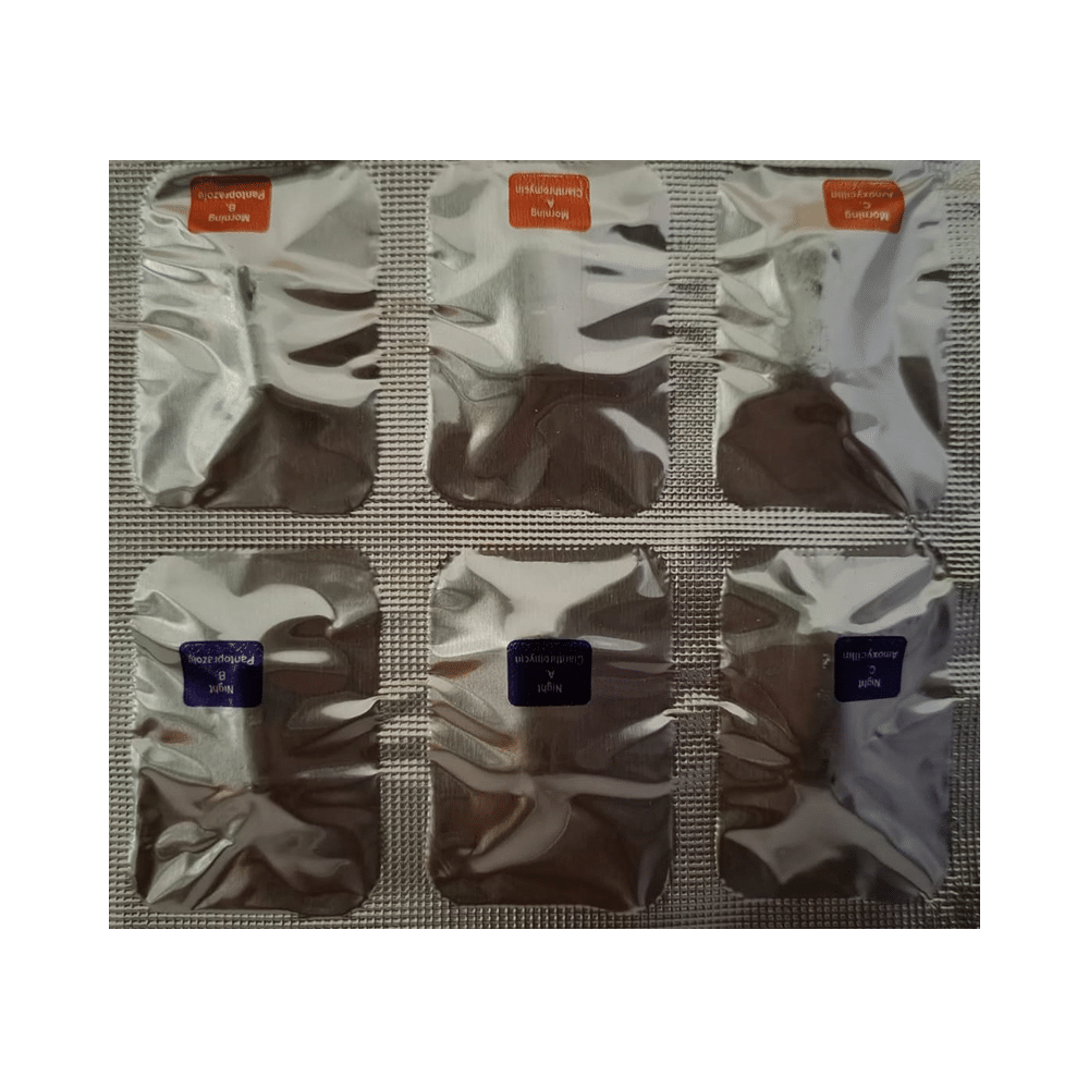 Panto-Clam Kit - Image 4