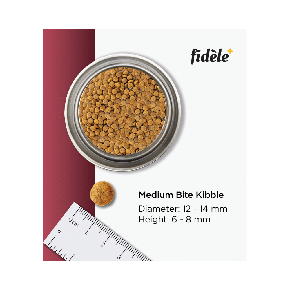 Fidele Plus Light & Senior Adult Dry Dog Food - Image 6