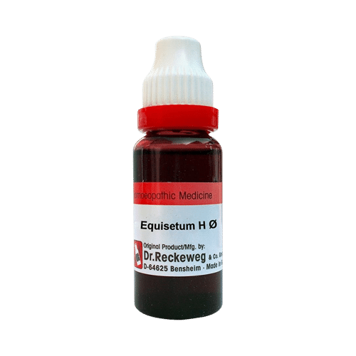Dr. Reckeweg Equisetum H Mother Tincture Q - Image 1