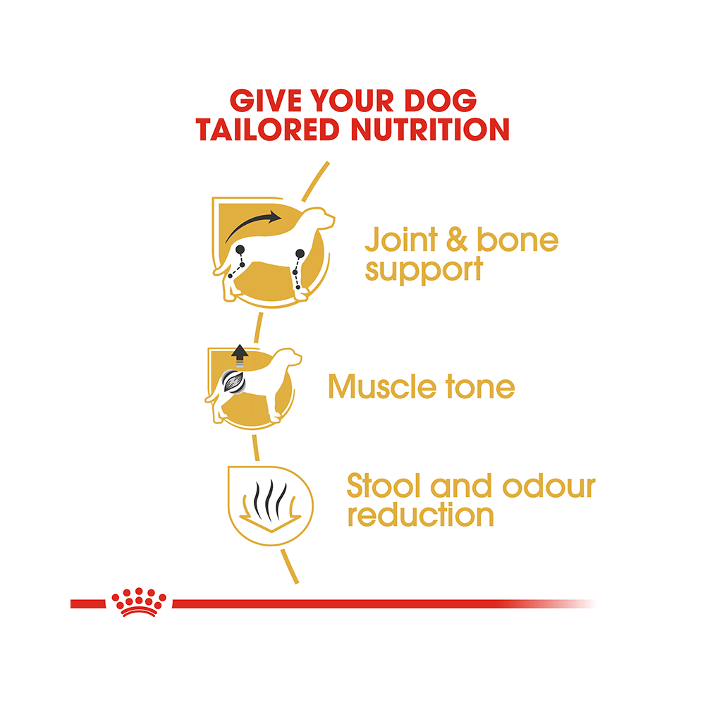 Royal Canin Dachshund Pet Food Adult - Image 4