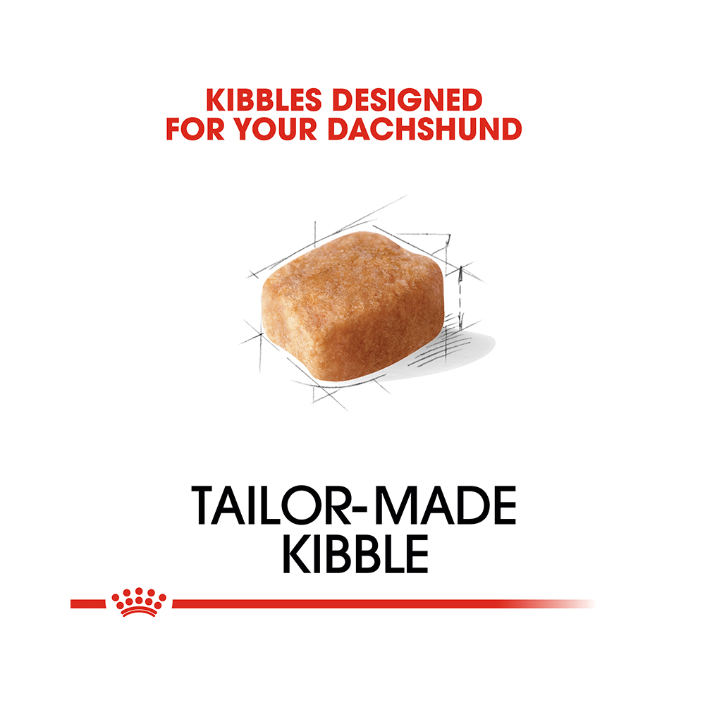 Royal Canin Dachshund Pet Food Adult - Image 3