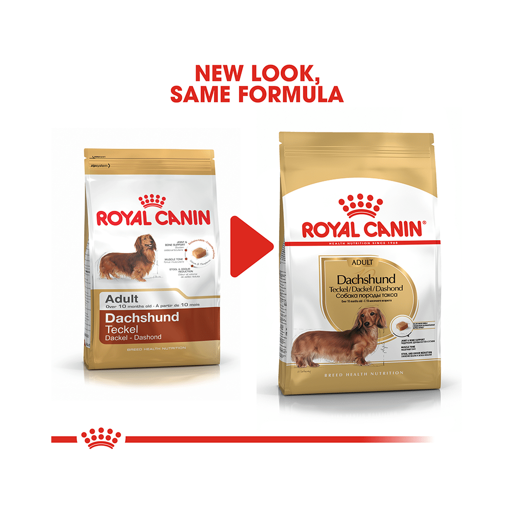 Royal Canin Dachshund Pet Food Adult - Image 5