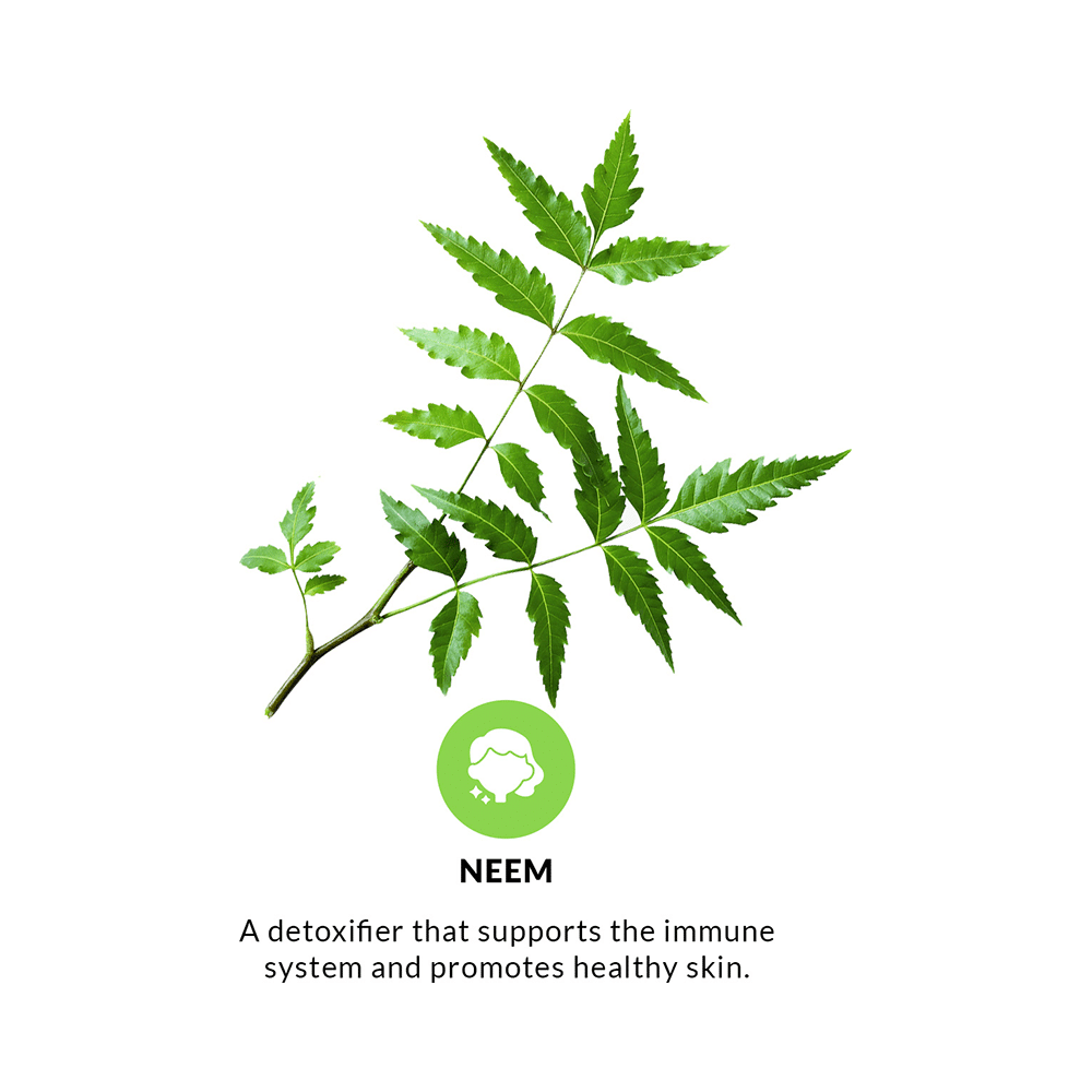 Pravek Neem Veg Capsule - Image 5