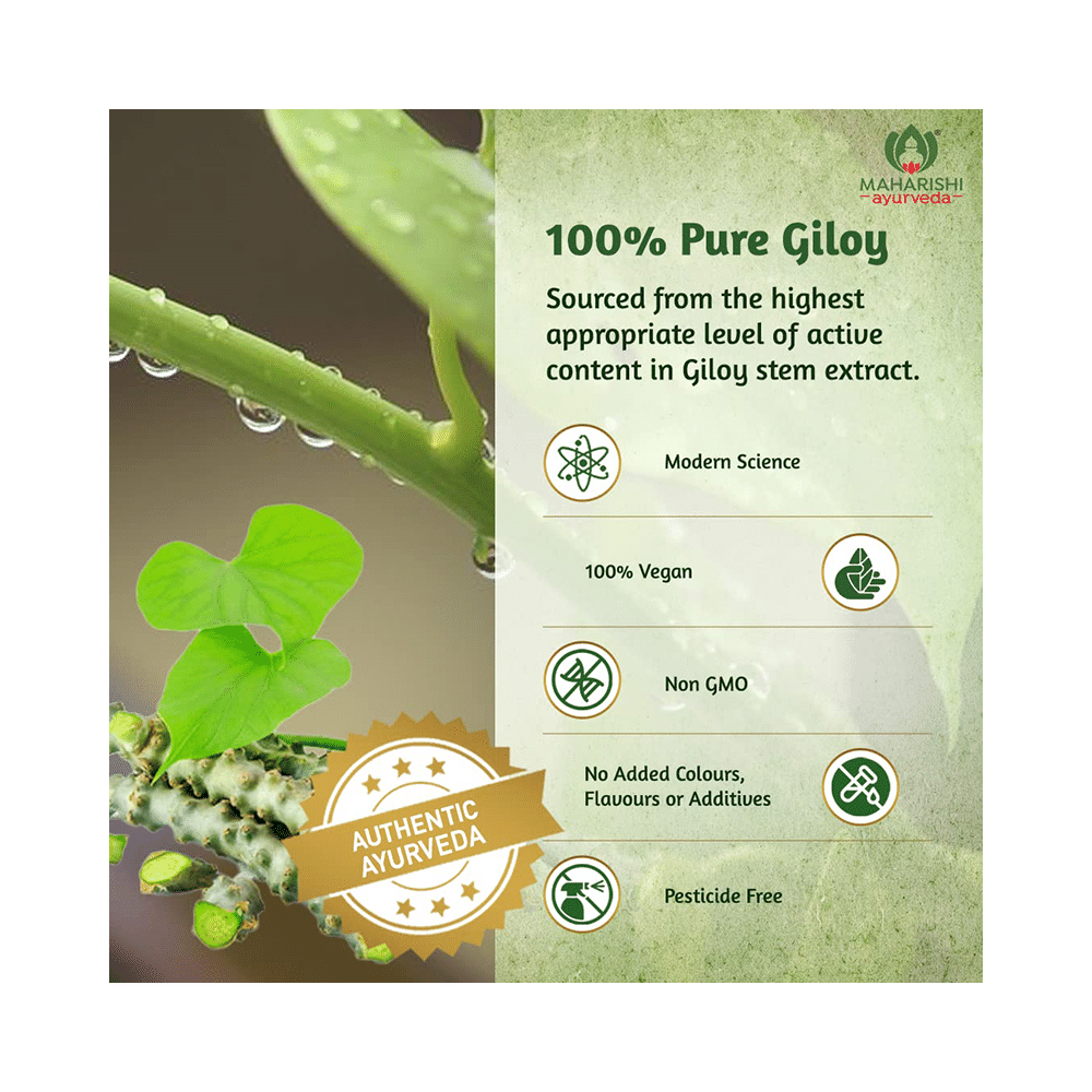 Maharishi Ayurveda Giloy Ghan (Samshamni) Vati - Image 6