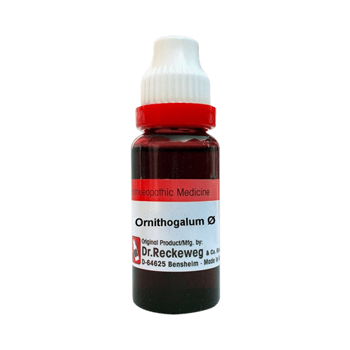 Dr. Reckeweg Ornithogalum Mother Tincture Q - Image 1