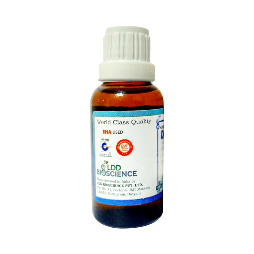LDD Bioscience Abies Nigra Dilution 6 CH - Image 3