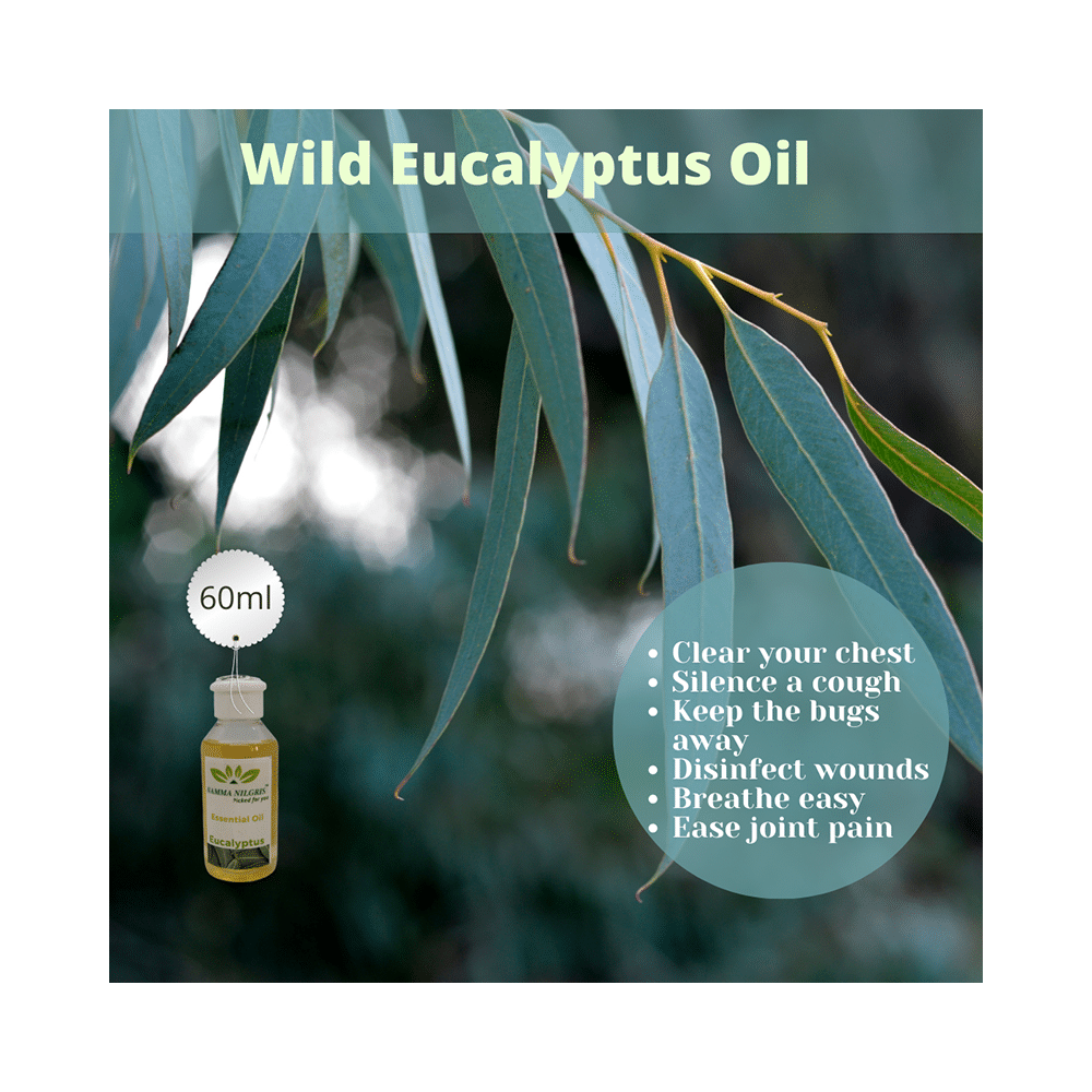 Namma Nilgris Eucalyptus Essential Oil - Image 4
