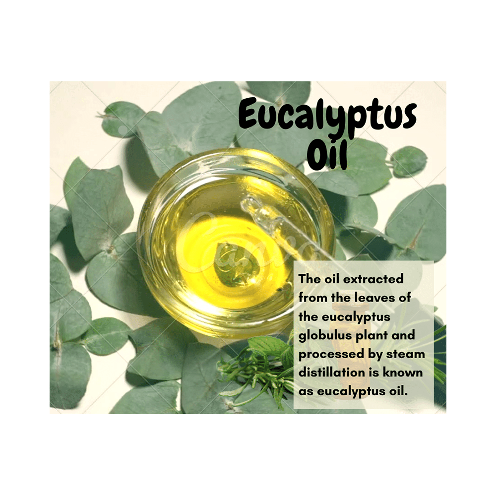 Namma Nilgris Eucalyptus Essential Oil - Image 3