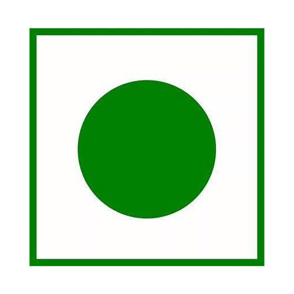 Vitagoli Immunity Gummies Kaccha Aam - Image 8