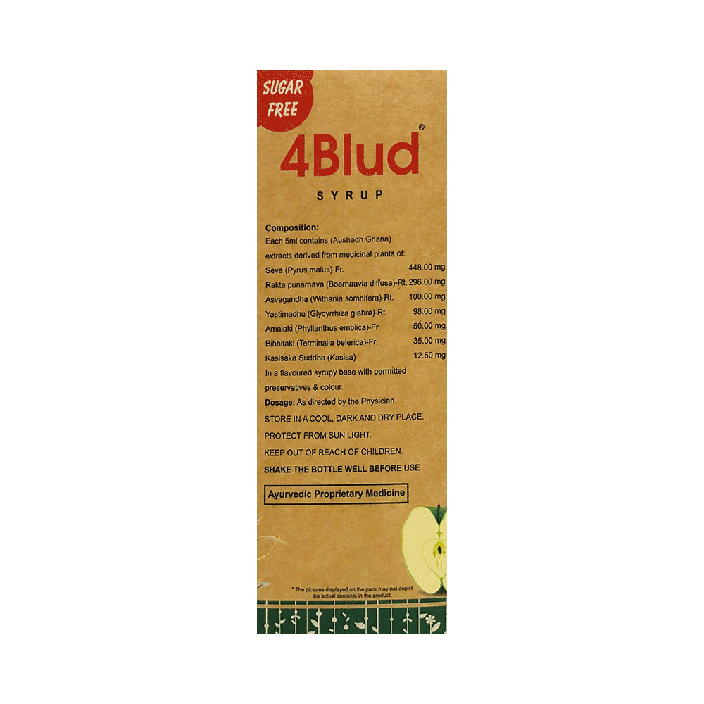 4 Blud Syrup Sugar Free - Image 2