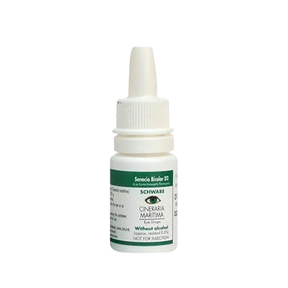 Dr Willmar Schwabe Germany Cineraria Maritima Without Alcohol Eye Drop - Image 2