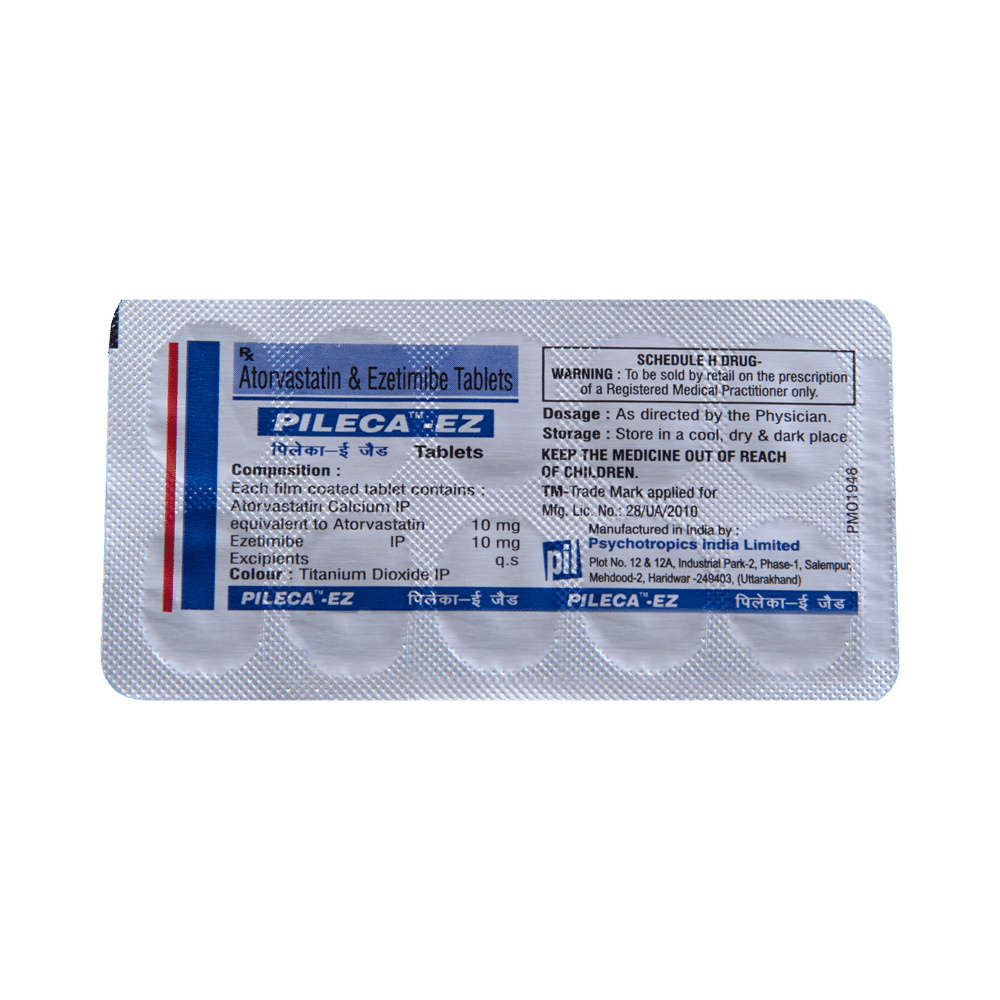 Pileca EZ Tablet - Image 5