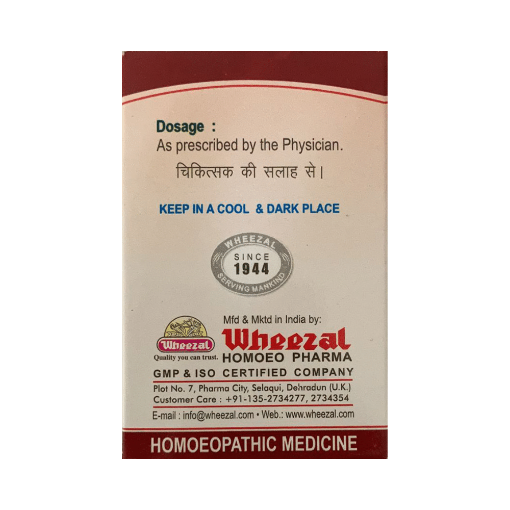 Wheezal Zincum Valerianicum Trituration Tablet 3X - Image 2