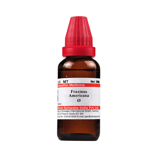 Dr Willmar Schwabe India Fraxinus Americana Mother Tincture Q - Image 1