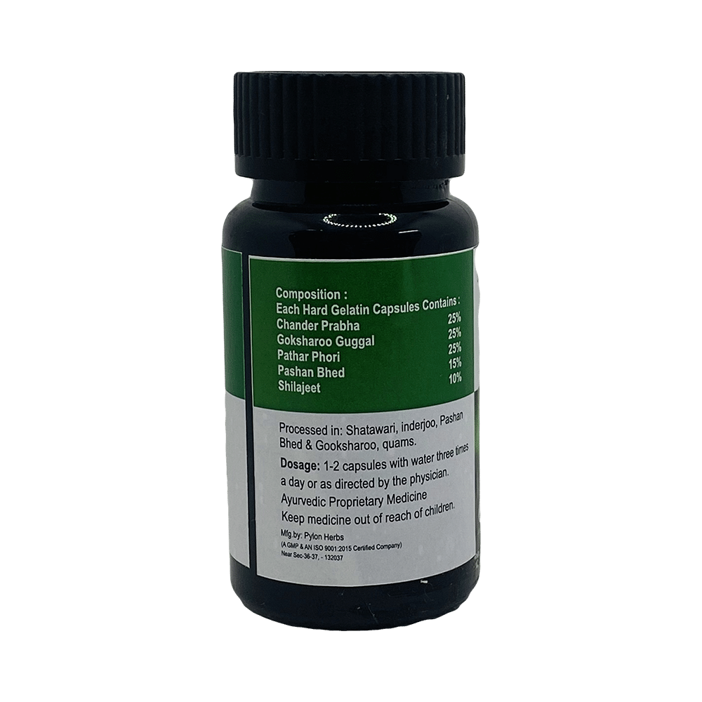 Leegaze Stone Crusher Capsule - Image 2