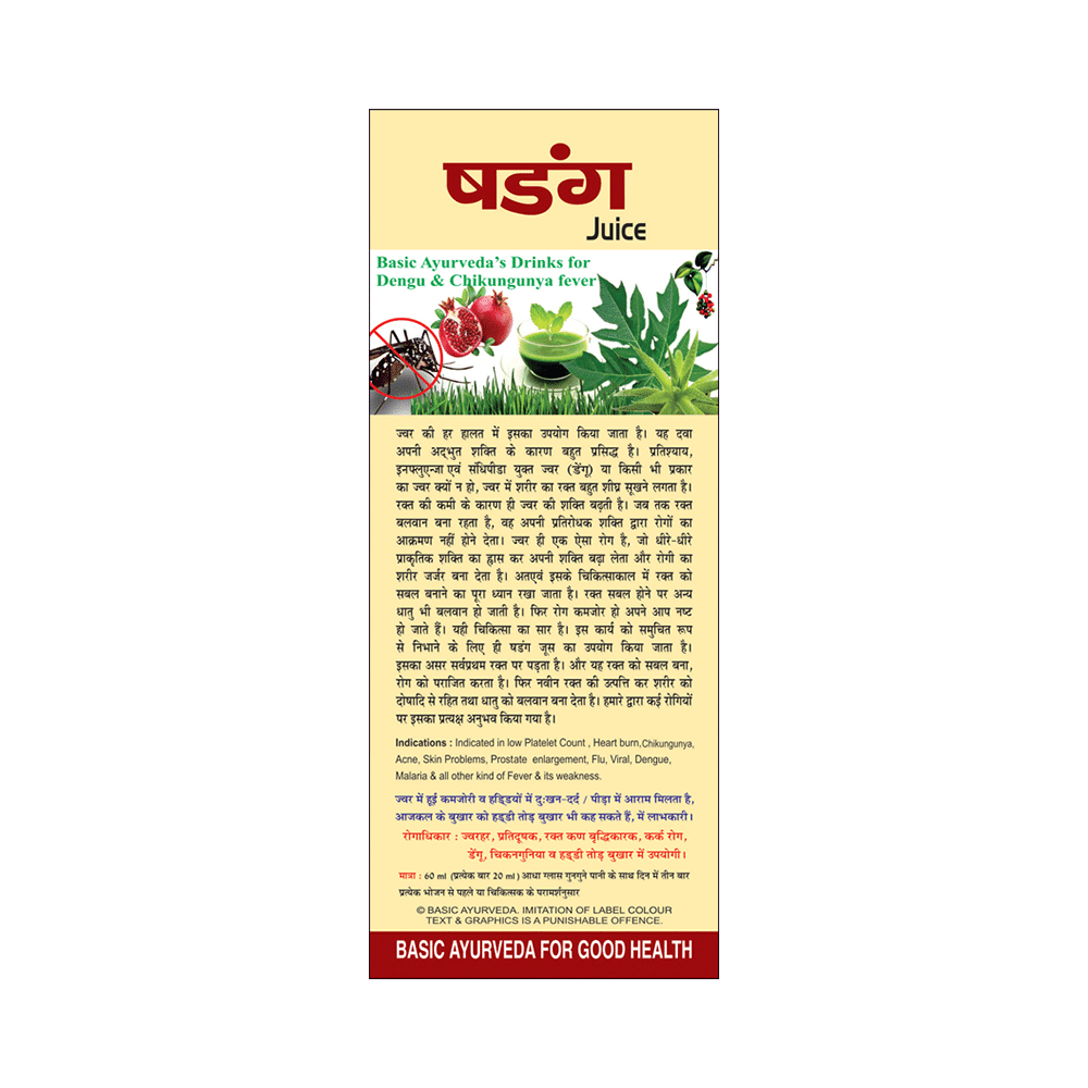 Basic Ayurveda Shadang Juice - Image 3