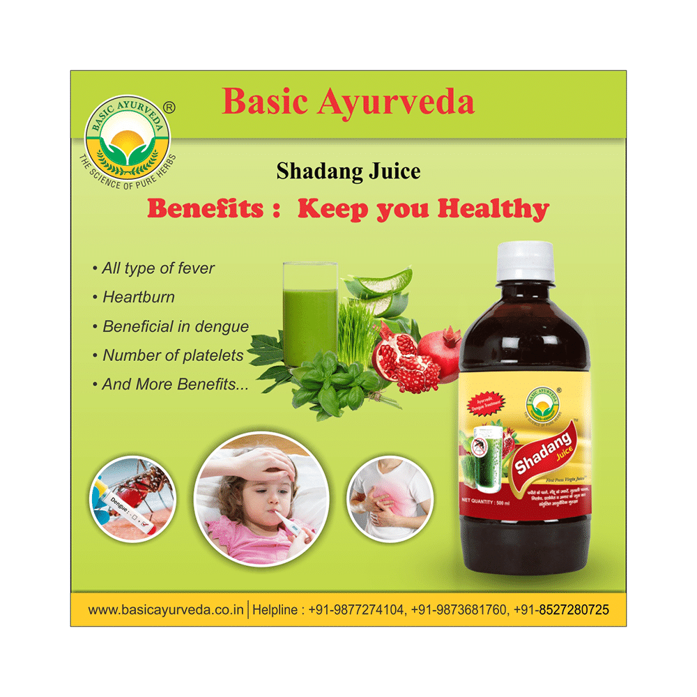 Basic Ayurveda Shadang Juice - Image 5