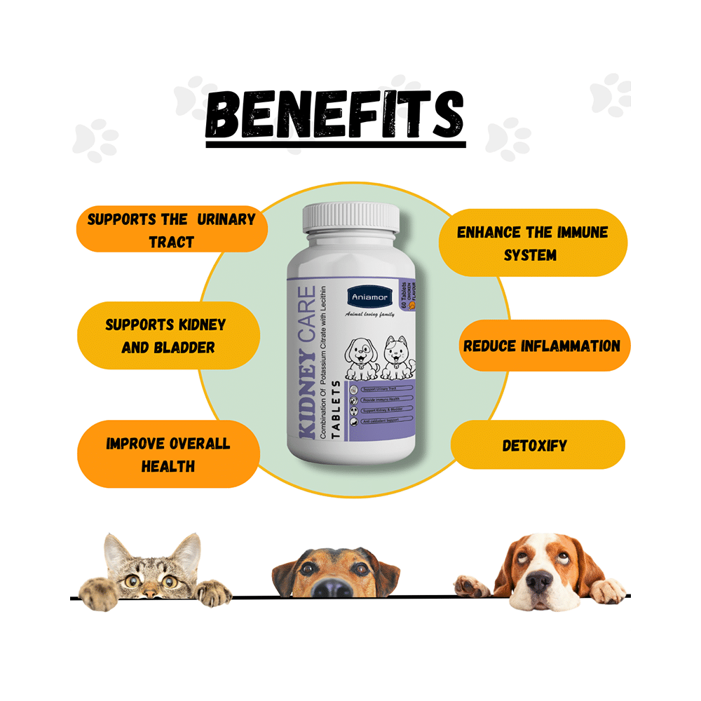 Aniamor Kidney Care Tablet Chicken Flavour - Image 4