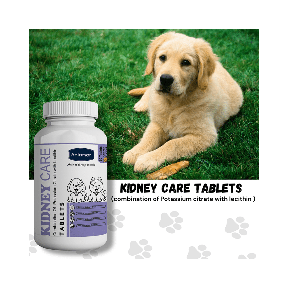 Aniamor Kidney Care Tablet Chicken Flavour - Image 6
