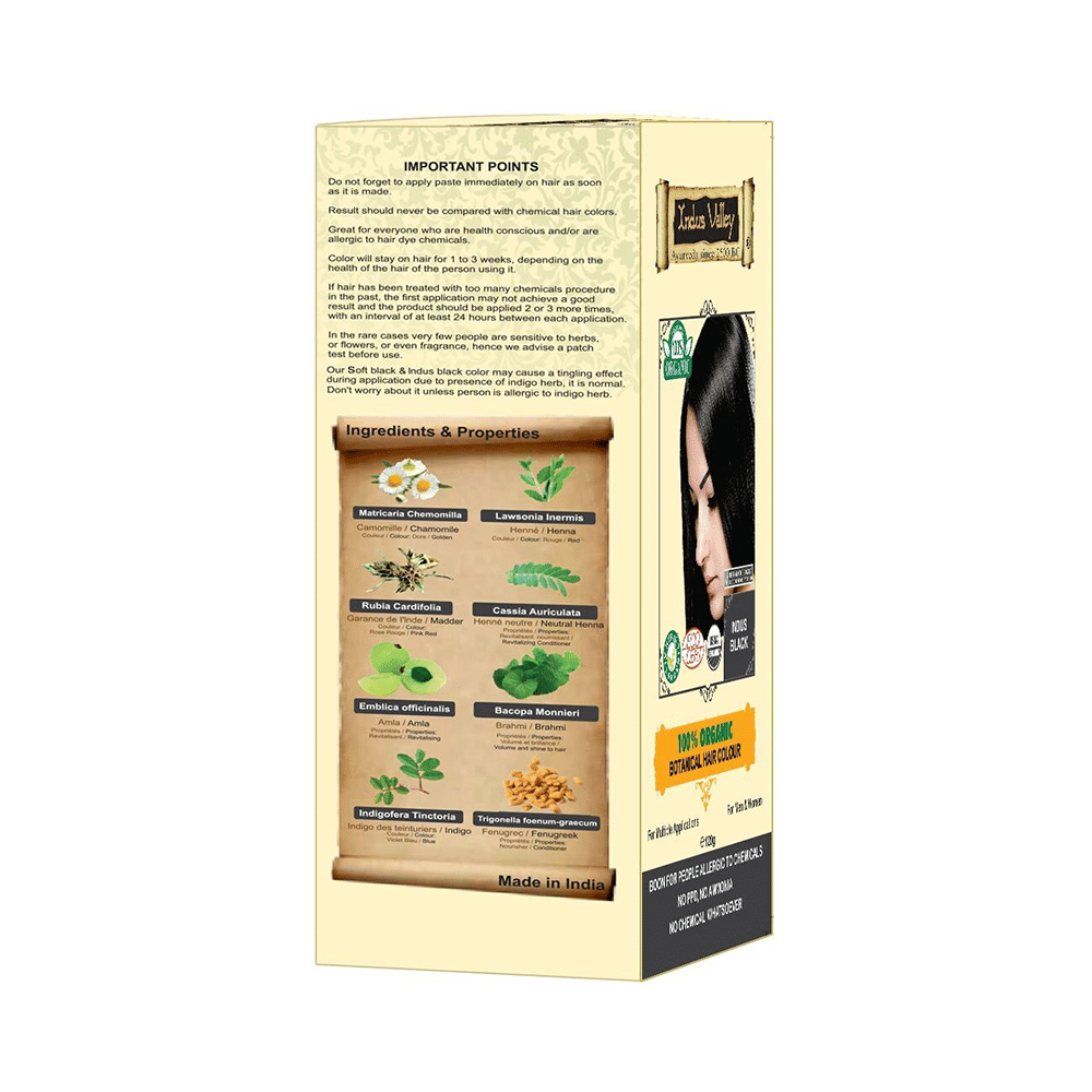 Indus Valley Indus Black Botanical Hair Colour - Image 2